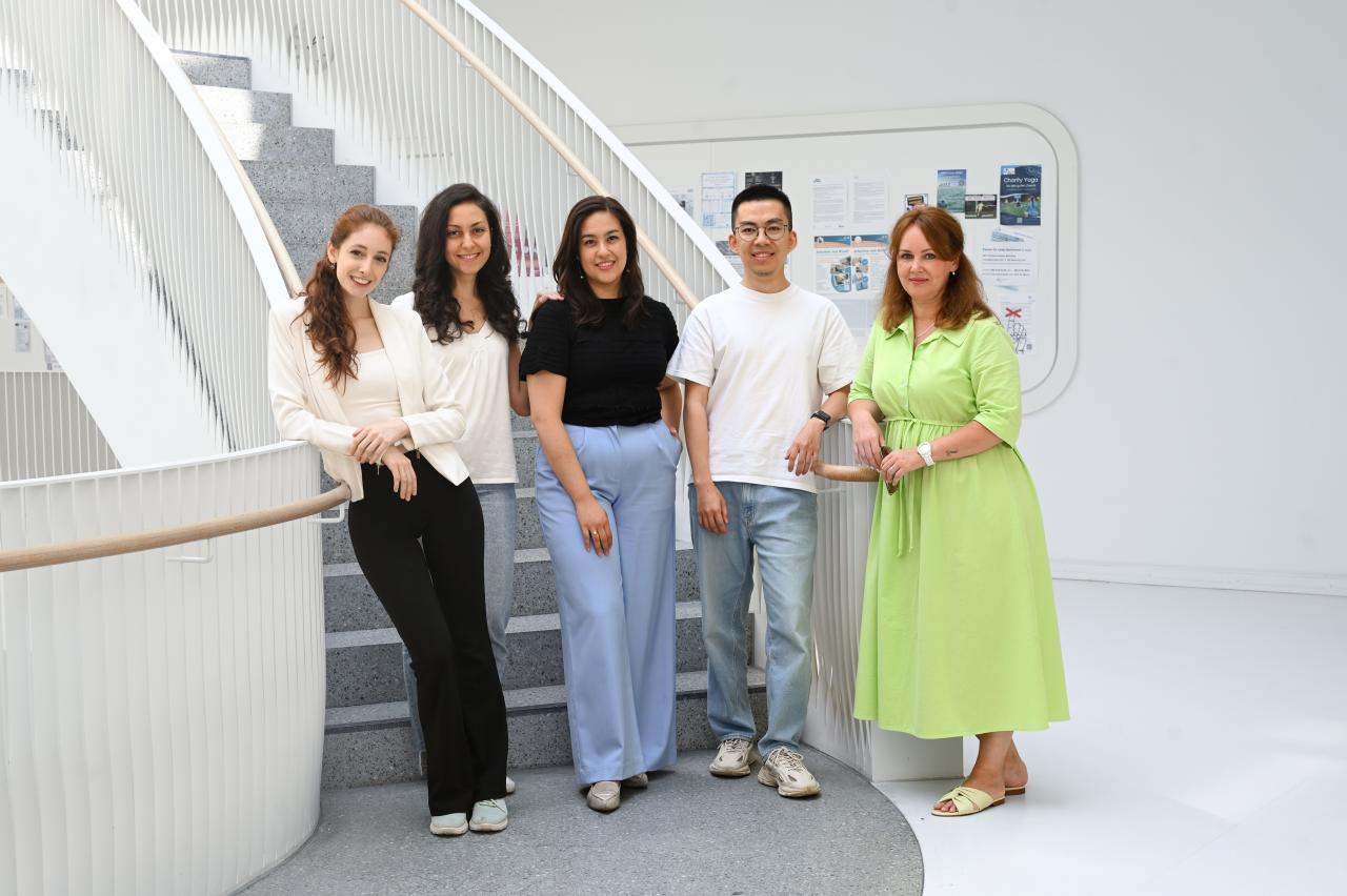 junior research group el khawanky junior research group el khawanky