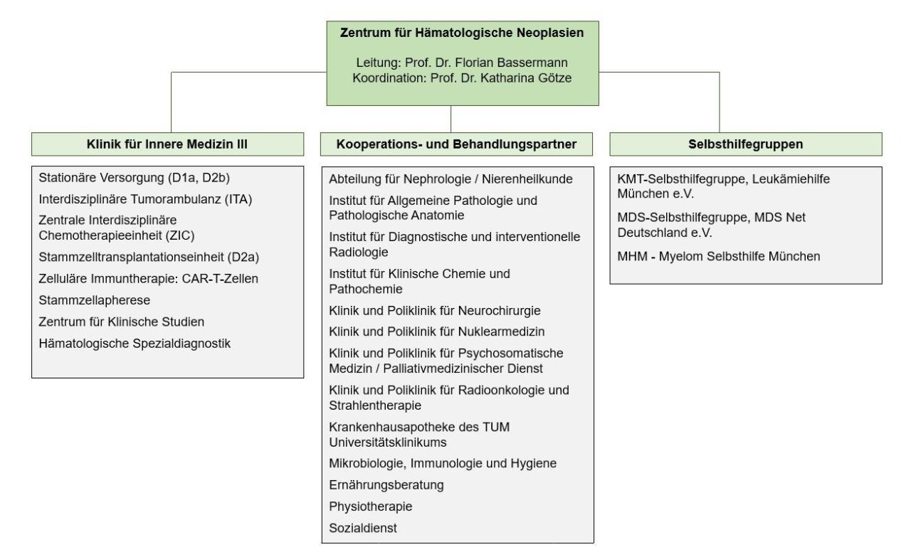Zentrumsstruktur des Zentrum für Hämatologische Neoplasien Zentrumsstruktur des Zentrum für Hämatologische Neoplasien